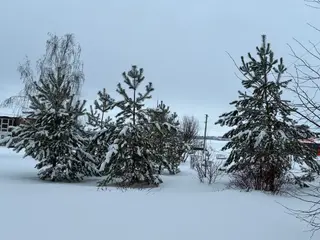 Фото к отзыву