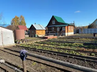 Фото к отзыву