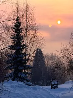 Фото к отзыву