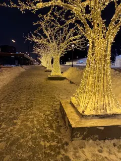 Фото к отзыву