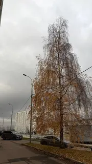 Фото к отзыву