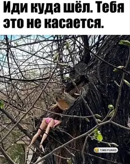 Фото к отзыву