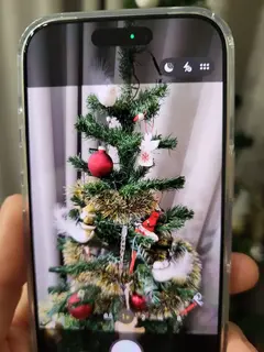 Фото к отзыву
