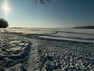 Фото к отзыву