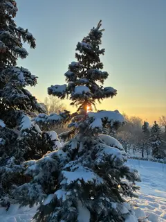 Фото к отзыву