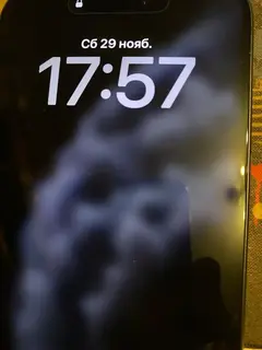 Фото к отзыву