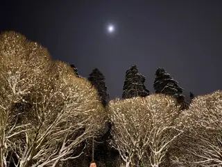 Фото к отзыву