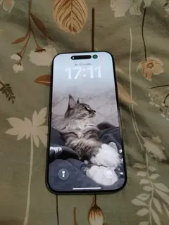Фото к отзыву