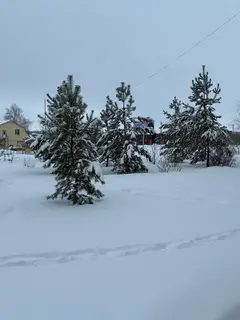 Фото к отзыву