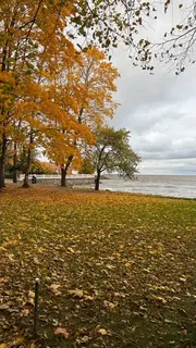 Фото к отзыву